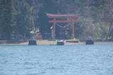 信濃 琵琶島城の写真