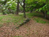 信濃 平賀城の写真