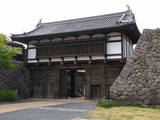 �����̿�