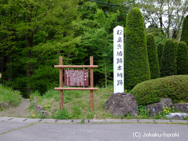 信濃 松島城の写真