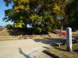 信濃 中野小館の写真