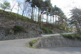 信濃 柳坂上砦の写真
