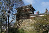 信濃 上田城の写真