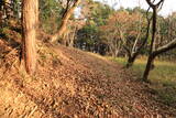 駿河 千福城の写真