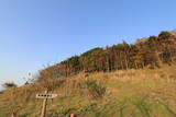丹後 日村岳城の写真