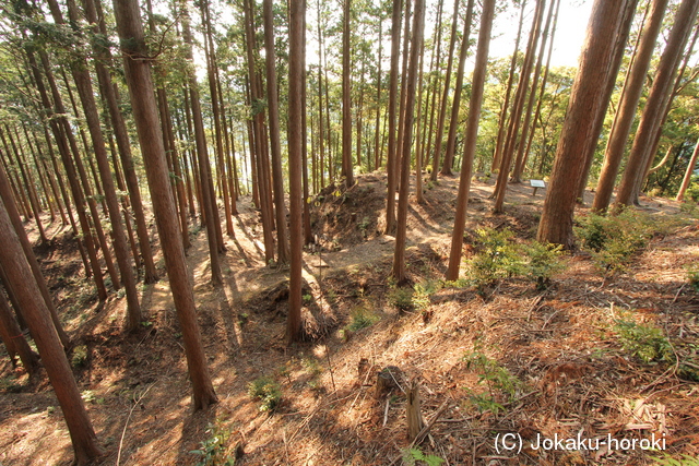 遠江 犬居城の写真