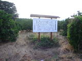 遠江 大谷陣屋の写真