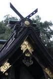 土佐 朝倉城の写真