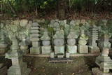 土肥一族の墓(城願寺)の写真