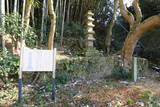 田原家五重塔と丸山墓地の写真