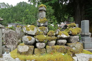 山崎家盛の墓(龍徳寺)の写真
