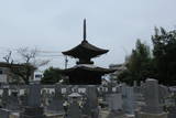 成道山松安院大樹寺の写真