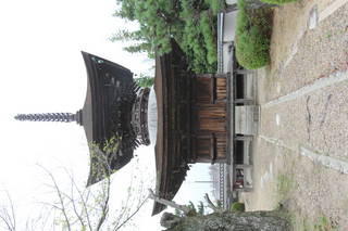 成道山松安院大樹寺の写真