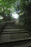 柏原八幡神社の写真