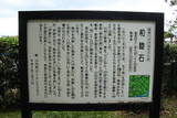 泰平寺の写真