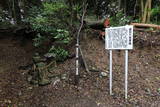 大人神社の写真