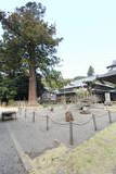 安国寺の写真