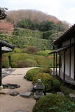 天柱山 頼久寺の写真