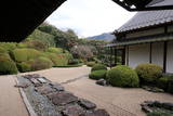天柱山 頼久寺の写真