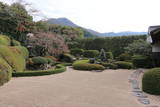天柱山 頼久寺の写真