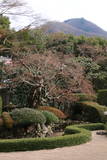 天柱山 頼久寺の写真