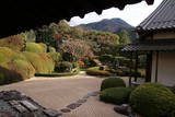 天柱山 頼久寺の写真