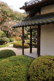 天柱山 頼久寺の写真
