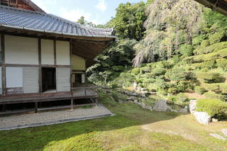 医光寺(滝蔵山)の写真