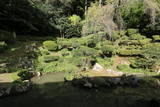 医光寺(滝蔵山)の写真