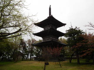 越後国分寺の写真