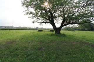 常陸国分尼寺の写真