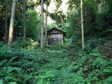 因幡国分尼寺の写真