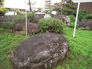 因幡国分寺の写真