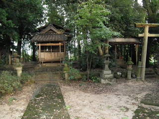 因幡国分寺の写真