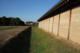 上野国分寺の写真