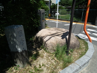 長門国分寺の写真