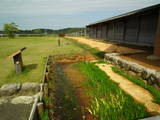 能登国分寺の写真