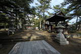 讃岐国分寺の写真