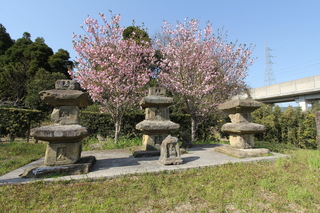 薩摩国分寺の写真
