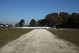 下野国分寺の写真