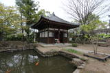 信濃国分寺の写真