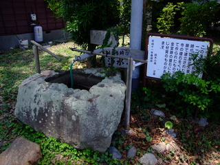 遠江国分寺の写真