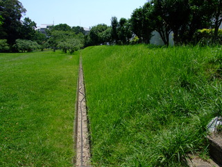 遠江国分寺の写真