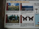 淡路国府の写真