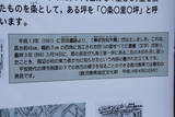 薩摩国府の写真