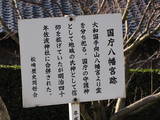 周防国府の写真
