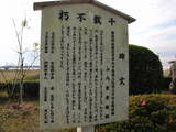 土佐国府の写真