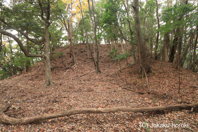 安房 金山城の写真