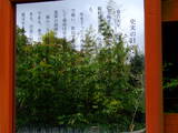 安房 滝田城の写真