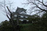 安房 館山城の写真